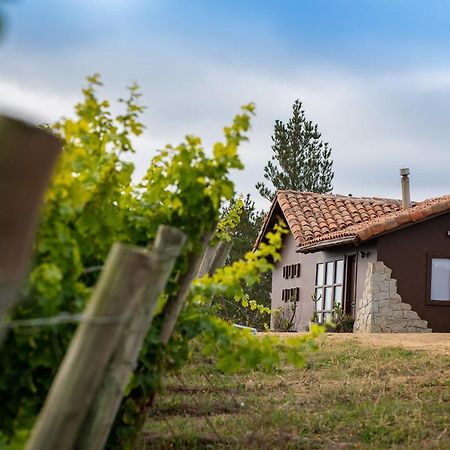 カルタヘナ Bungalow Miramar & Jeronimo At Casa Marin Vineyards Bed & Breakfast エクステリア 写真