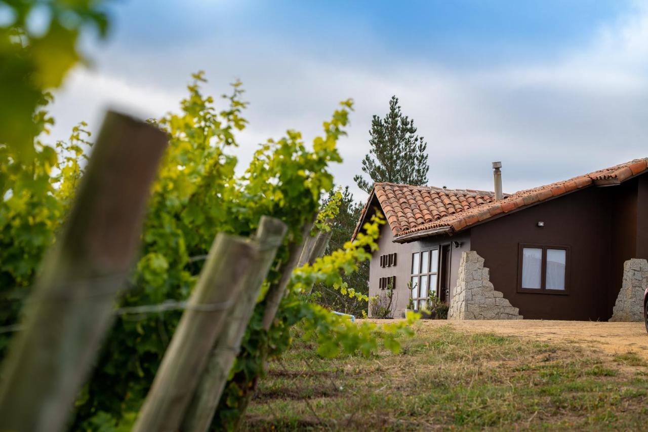 カルタヘナ Bungalow Miramar & Jeronimo At Casa Marin Vineyards Bed & Breakfast エクステリア 写真