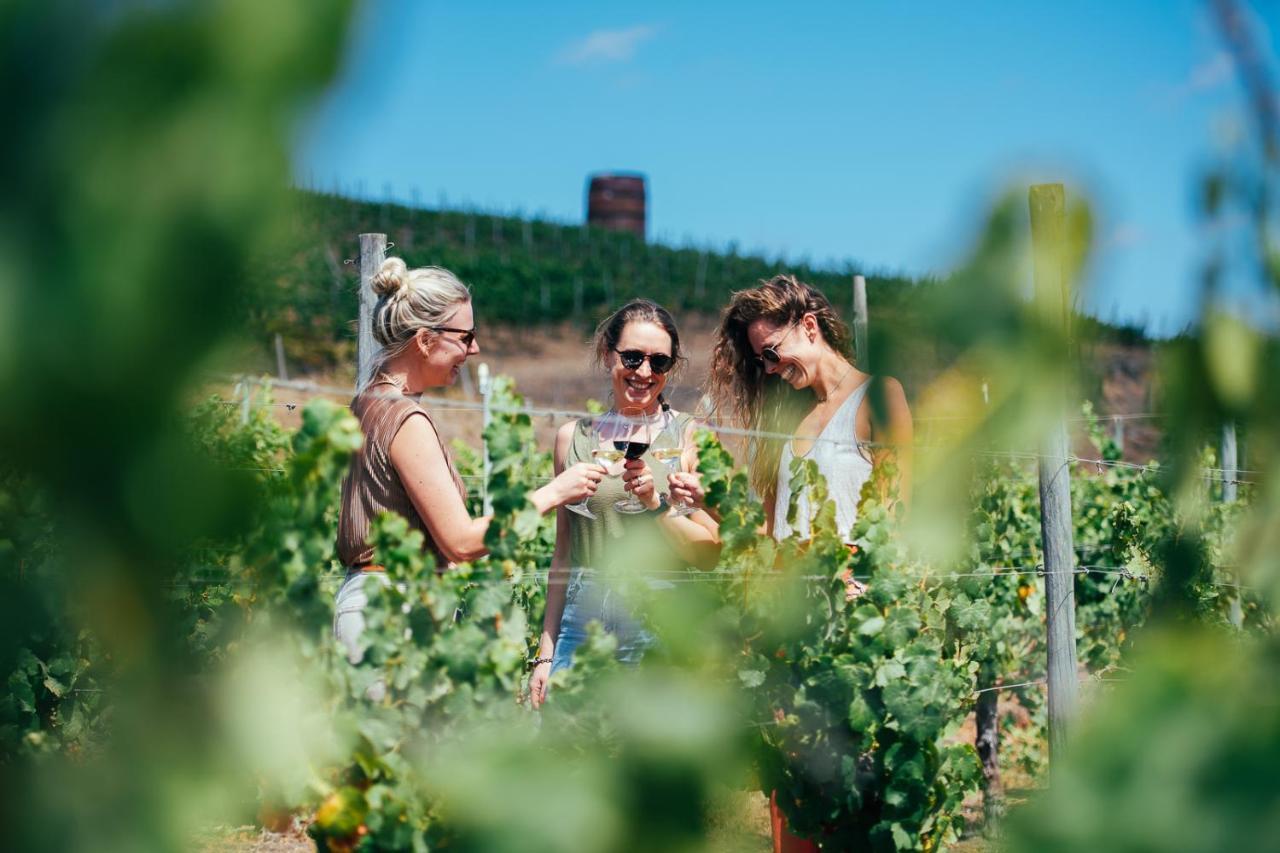 カルタヘナ Bungalow Miramar & Jeronimo At Casa Marin Vineyards Bed & Breakfast エクステリア 写真