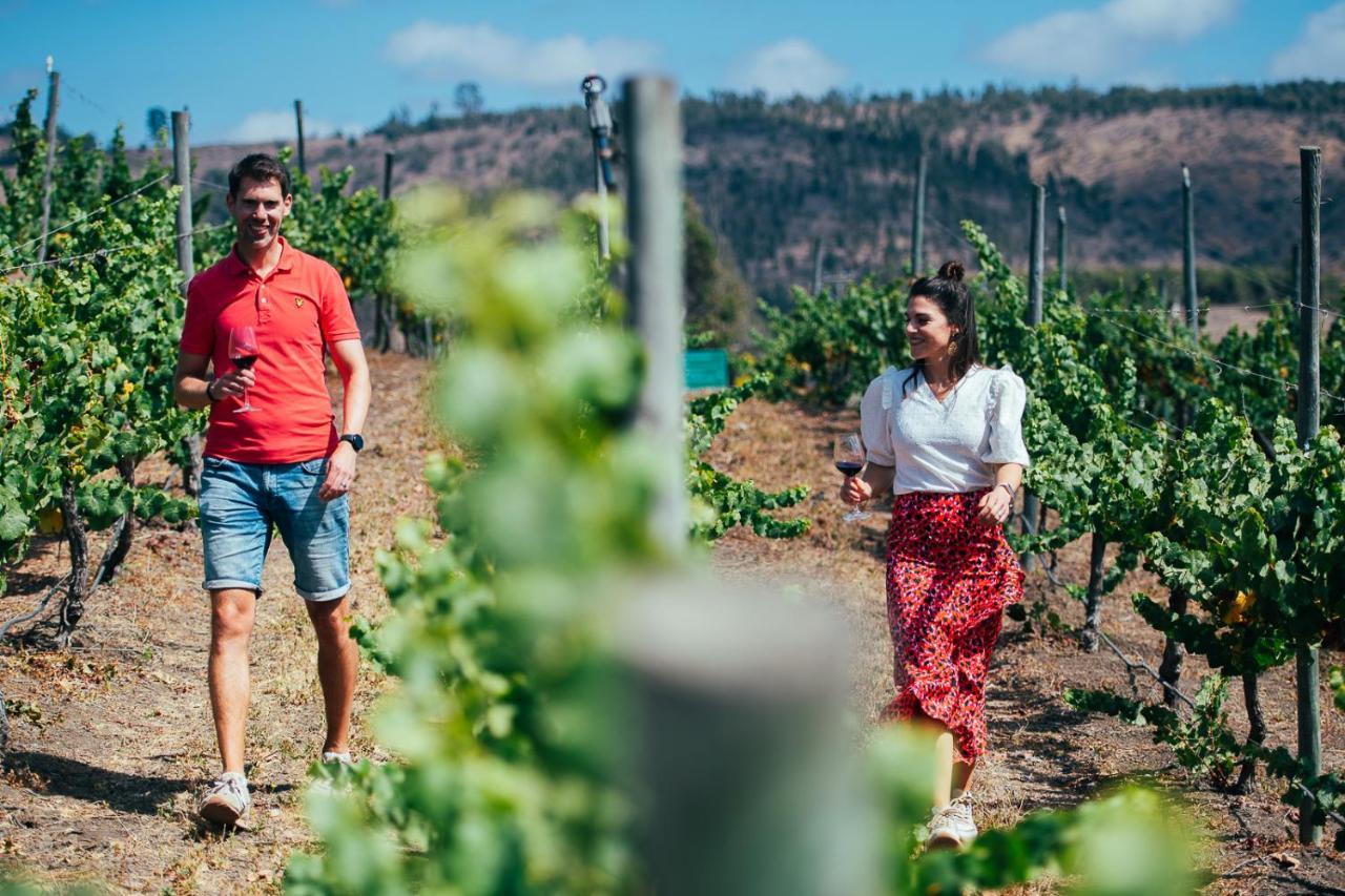 カルタヘナ Bungalow Miramar & Jeronimo At Casa Marin Vineyards Bed & Breakfast エクステリア 写真