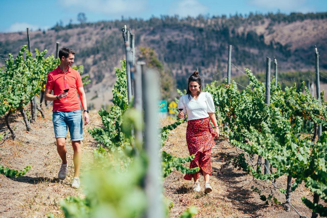 カルタヘナ Bungalow Miramar & Jeronimo At Casa Marin Vineyards Bed & Breakfast エクステリア 写真