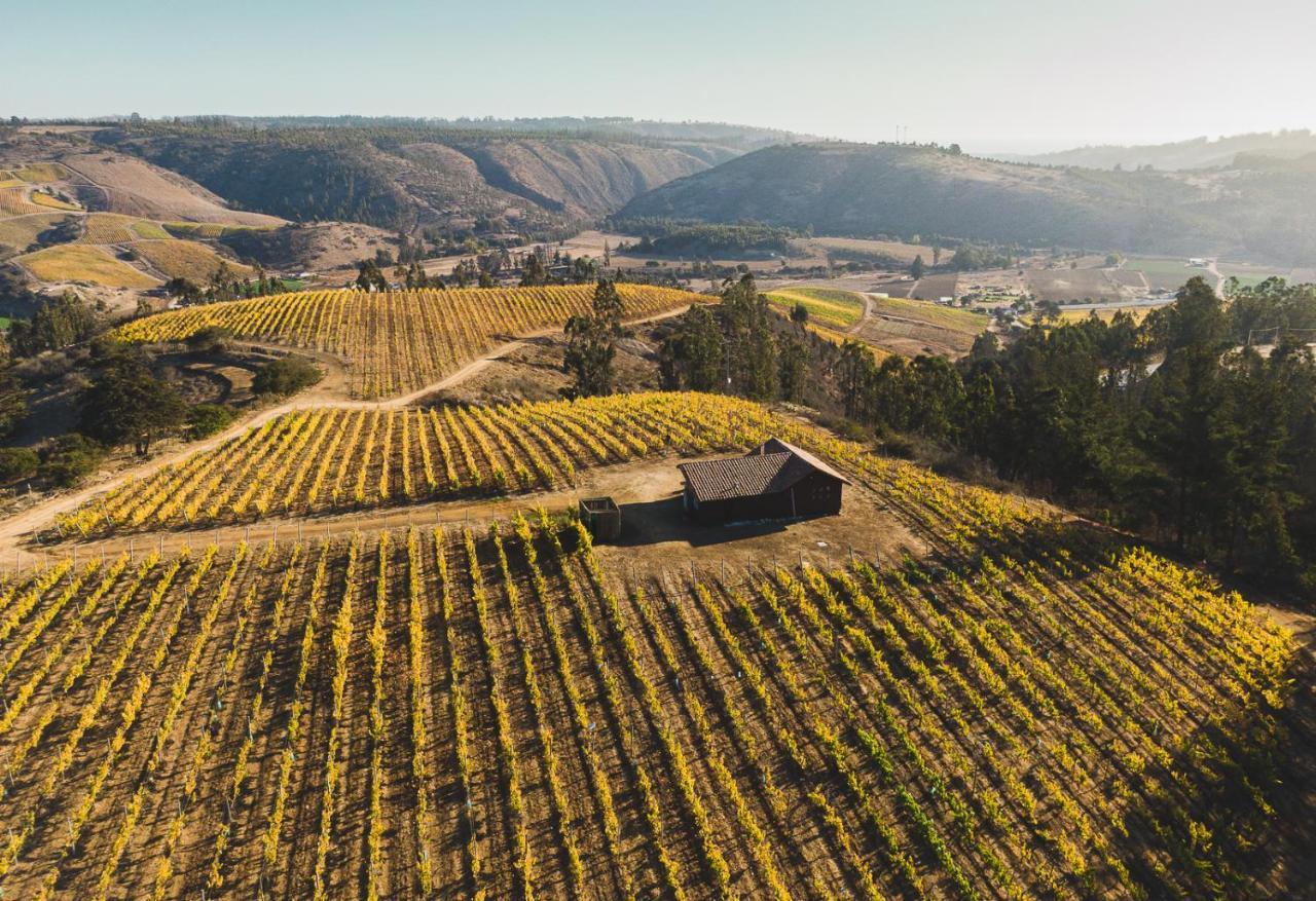 カルタヘナ Bungalow Miramar & Jeronimo At Casa Marin Vineyards Bed & Breakfast エクステリア 写真