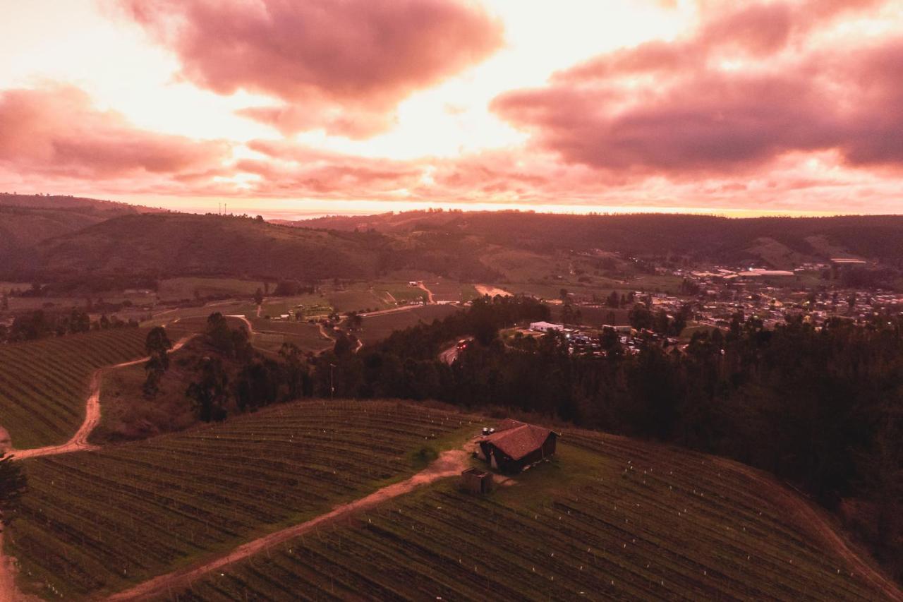 カルタヘナ Bungalow Miramar & Jeronimo At Casa Marin Vineyards Bed & Breakfast エクステリア 写真