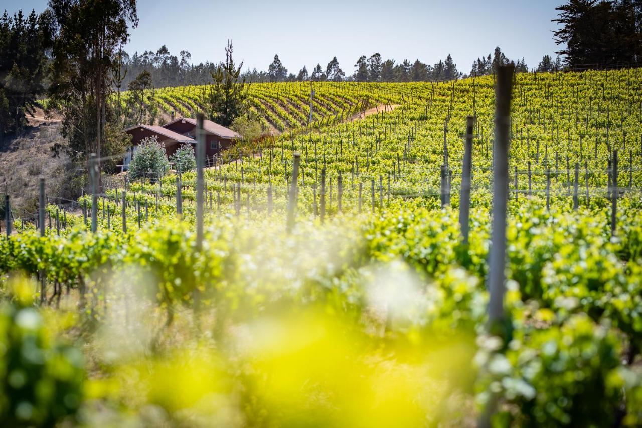 カルタヘナ Bungalow Miramar & Jeronimo At Casa Marin Vineyards Bed & Breakfast エクステリア 写真