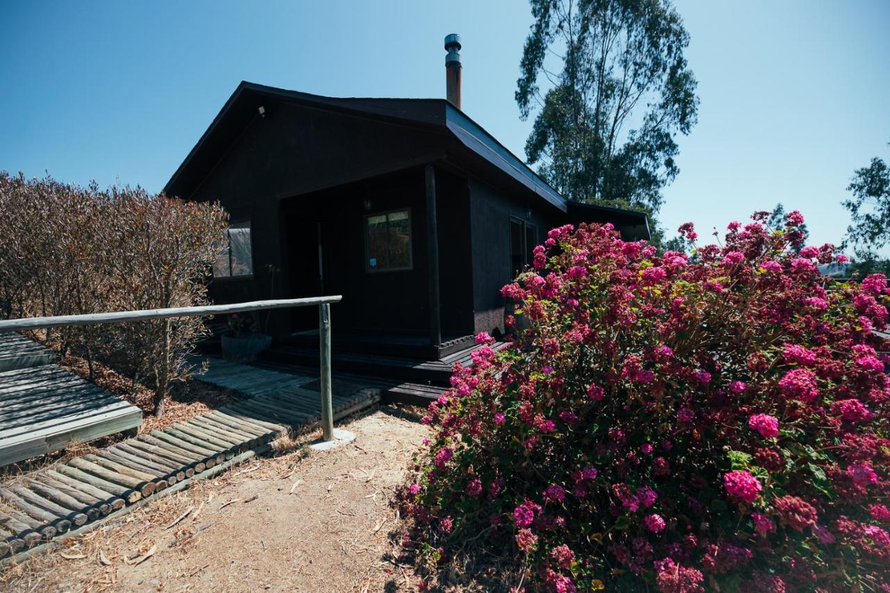 カルタヘナ Bungalow Miramar & Jeronimo At Casa Marin Vineyards Bed & Breakfast エクステリア 写真