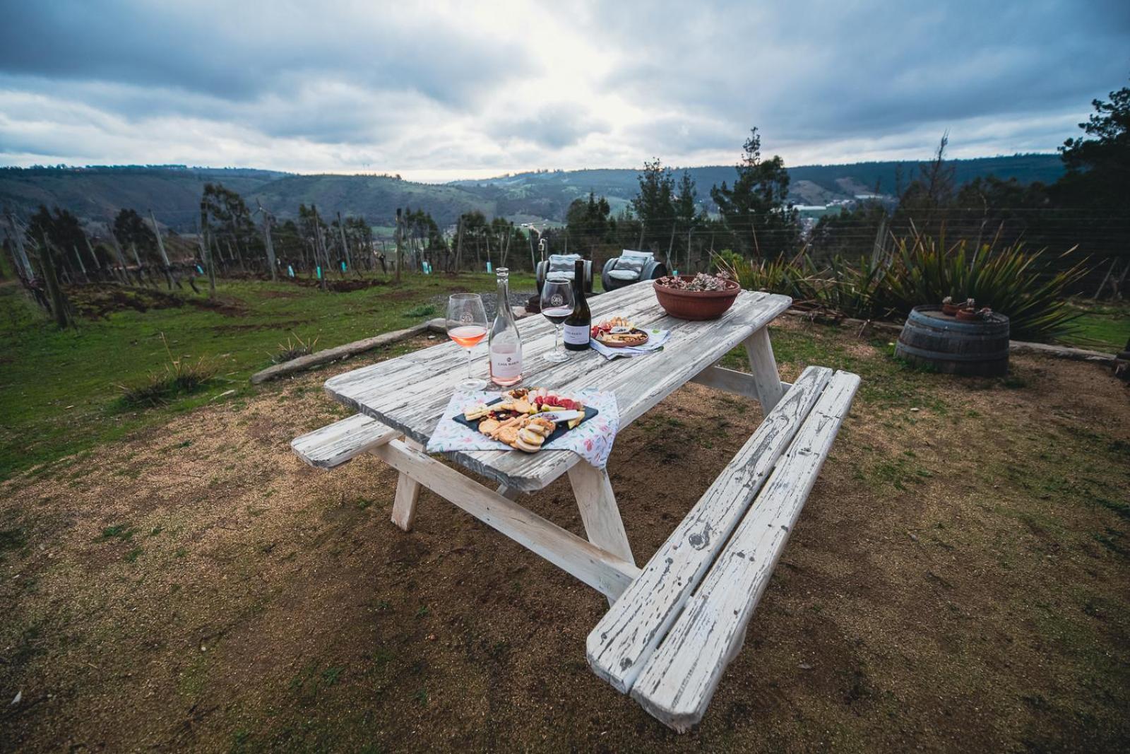 カルタヘナ Bungalow Miramar & Jeronimo At Casa Marin Vineyards Bed & Breakfast エクステリア 写真